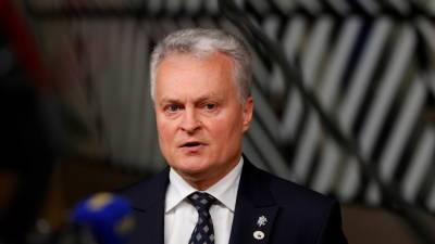 Глава Литвы попросил у ЕС финансовой помощи для защиты от мигрантов
