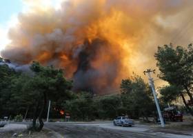 "Дети огня" взяли на себя ответственность за пожары в Турции, в которых погибли люди