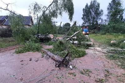 Энергетики продолжают ликвидировать последствия урагана в Псковской области