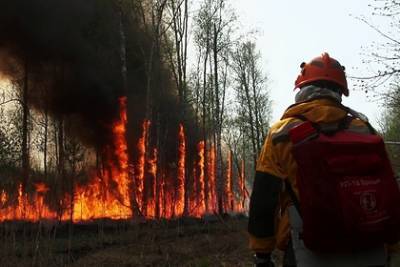 Тушить пожары в Якутии помешал дым
