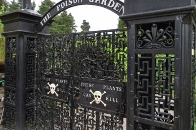 В Англии нашли самый смертоносный в мире сад (ВИДЕО)