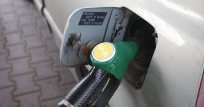 В Калининградской области цены на газомоторное топливо выросли на 30% за год