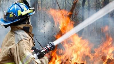 Самый юный волонтер помогал тушить лесные пожары в Карелии - 5-tv.ru - республика Карелия