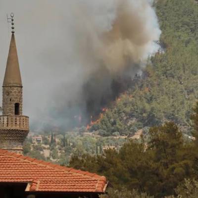 Эрдоган поблагодарил Путина и лидеров других стран за помощь в борьбе с лесными пожарами