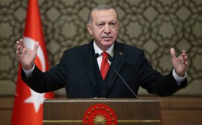 Эрдоган поблагодарил Зеленского и других лидеров за помощь в тушении лесных пожаров. Без курьезов не обошлось