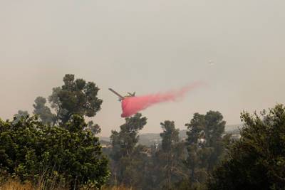 В Израиле разгорелись неконтролируемые лесные пожары