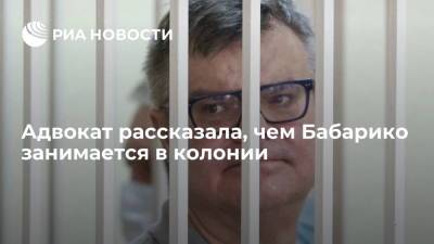 Адвокат Мацкевич: экс-глава Белгазпромбанка Бабарико работает истопником в колонии в Новополоцке