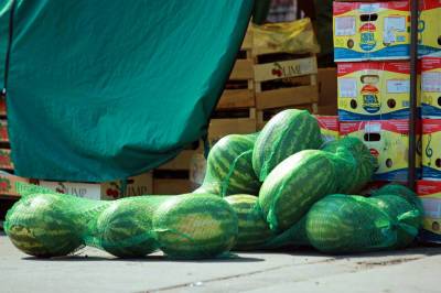 В Петербурге закрыли десятки нелегальных точек продаж фруктов