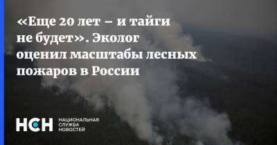 «Еще 20 лет – и тайги не будет». Эколог оценил масштабы лесных пожаров в России