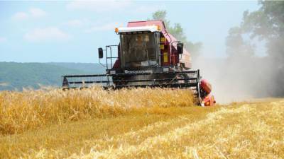 Крымские аграриям пообещали субсидии: кто сможет получить и на что