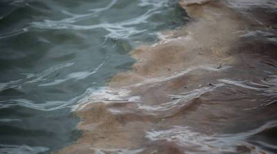В Карелии у озера Суоярви произошел разлив нефтепродуктов