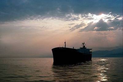 Marine Traffic - СМИ сообщили о возможном захвате нескольких судов в Оманском заливе - nakanune.ru - Англия - Эмираты - Панама - Сингапур - Захват - Судно