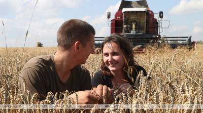 РЕПОРТАЖ: Медовый месяц за рулем комбайна: как в Шкловском районе молодожены убирают урожай