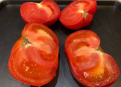 Почему образуются невкусные прожилки внутри помидоров и как этого избежать