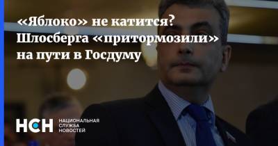 «Яблоко» не катится? Шлосберга «притормозили» на пути в Госдуму