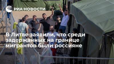 Замминистра иностранных дел Литвы Адоменас: среди нелегальных мигрантов есть граждане России
