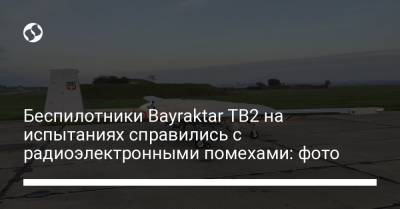 Беспилотники Bayraktar TB2 на испытаниях справились с радиоэлектронными помехами: фото