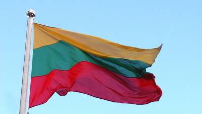 В МИД Литвы заявили, что среди нелегальных мигрантов есть россияне