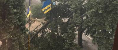 В прифронтовой Волновахе сильный ветер ломал деревья, срывал крыши домов и повредил новый стадион (фото)