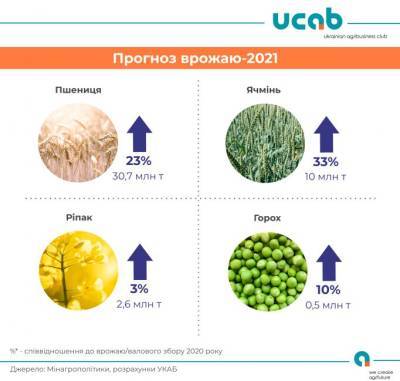 Украине прогнозируют в этом году рекордный урожай пшеницы