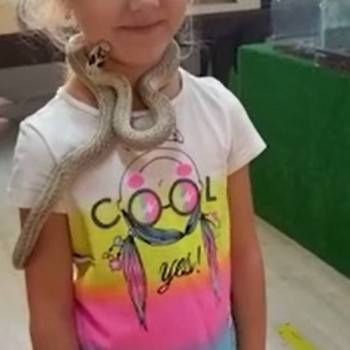 В контактном зоопарке 5-летнюю девочку укусила змея