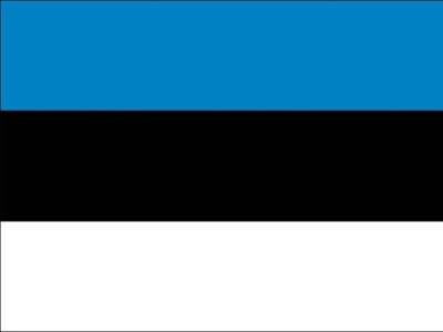 Парламент Эстонии выберет нового президента