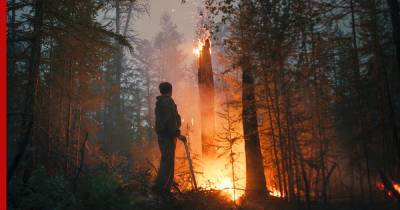 Лесные пожары в России охватили 8 миллионов гектаров территории