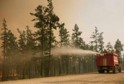 В России площадь лесных пожаров превысила восемь миллионов гектаров