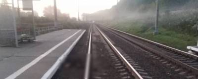 В Новосибирской области на железной дороге погиб пьяный мужчина