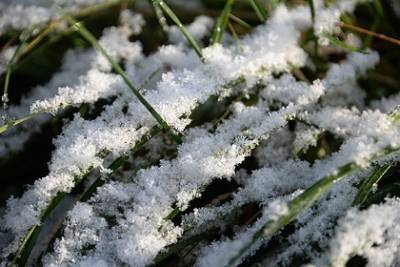 В нескольких российских регионах в сентябре выпадет первый снег