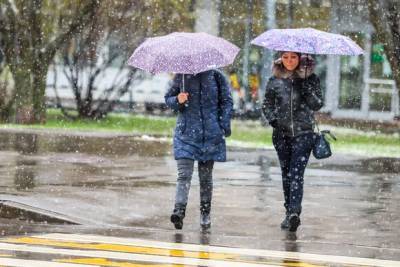 Синоптики предупредили о первом снеге в начале сентября в ряде регионов РФ