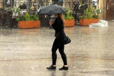 Дождь и до 25 градусов тепла в понедельник ожидаются в Москве
