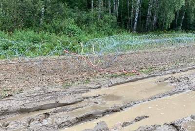 В Польше неизвестные сломали забор на границе с Беларусью