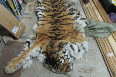 Хабаровчане пытались продать шкуру, мясо и кости амурского тигра