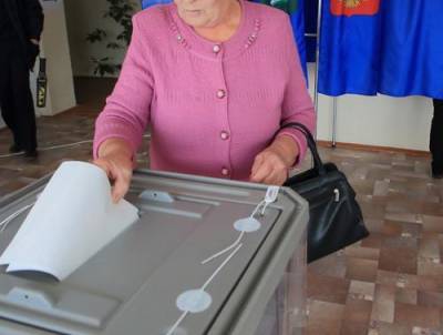 Политолог Орлов предложил запретить людям с двойным гражданством быть доверенными лицами на выборах в РФ