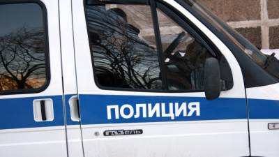 В Петербурге задержали участника пикета в поддержку "Умного голосования"