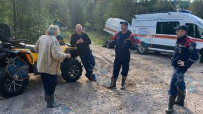 Спасатели нашли заблудившуюся женщину в лесу Приозерского района