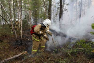 В Хабаровском крае потушили 3 пожара за выходные