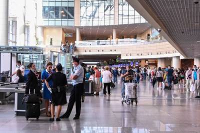 Названы предметы, которые забывали пассажиры в аэропортах Москвы с начала года