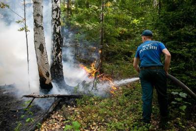 В Свердловской области увеличилась площадь пожаров. Горит лес у Чертова городища