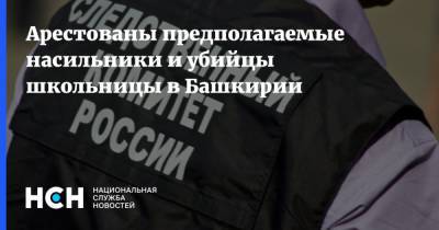 Арестованы предполагаемые насильники и убийцы школьницы в Башкирии - nsn.fm - Башкирия - Бирск