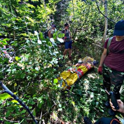 В Кузбассе спасатели эвакуировали из тайги упавшего с кедра сборщика шишек