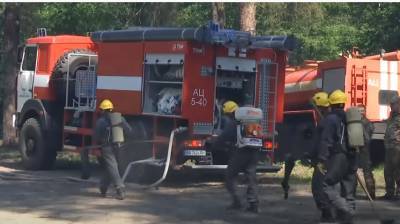 Украину 30 августа окутает адская жара: синоптики предупредили о пожарной опасности