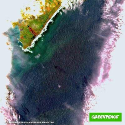 На Камчатке в Авачинской бухте выявили разлив нефтепродуктов