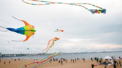В Петербурге отменили фестиваль воздушных змеев «Легко Фест»