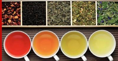 Названы самые полезные цветочно-травяные чаи