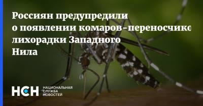 Россиян предупредили о появлении комаров-переносчиков лихорадки Западного Нила