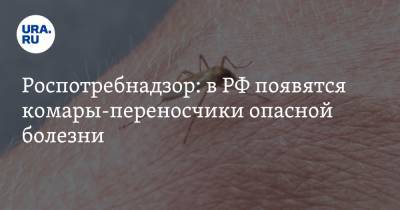 Роспотребнадзор: в РФ появятся комары-переносчики опасной болезни