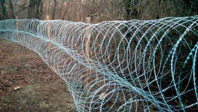 На границе с Беларусью 13 человек пытались разрушить пограничный забор