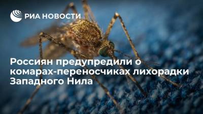 Роспотребнадзор: в России осенью появятся комары, переносящие лихорадку Западного Нила